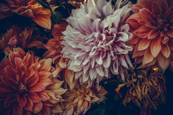 Comment entretenir les fenêtres en bois ?