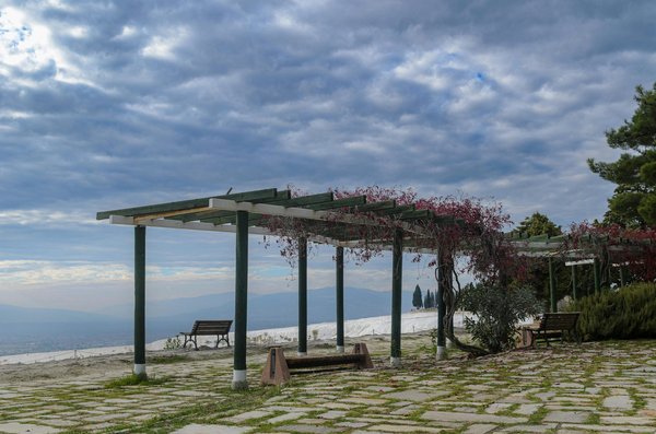 Découvrez des pergolas alliant esthétisme et performance énergétique